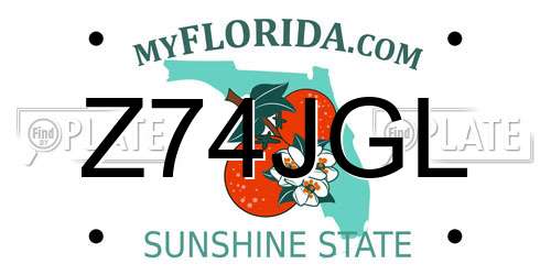 Z74JGL Florida License Plate