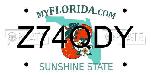 Z74QDY Florida License Plate