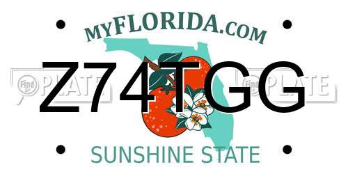 Z74TGG Florida License Plate