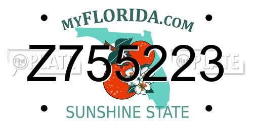 Z755223 Florida License Plate