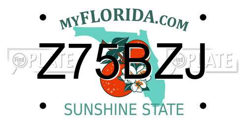 Z75BZJ Florida License Plate