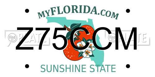 Z75CCM Florida License Plate