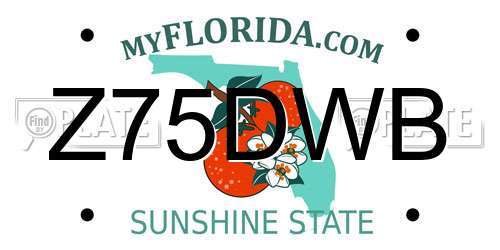 Z75DWB Florida License Plate