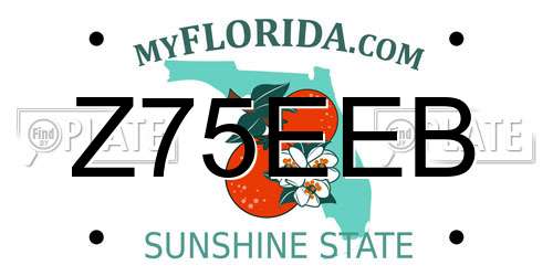 Z75EEB Florida License Plate