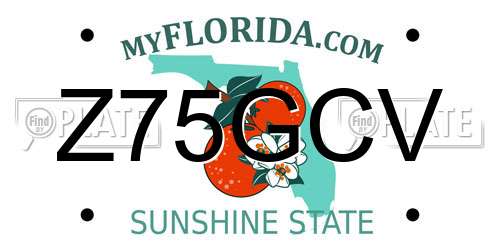 Z75GCV Florida License Plate