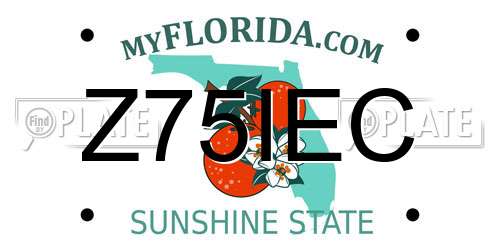 Z75IEC Florida License Plate