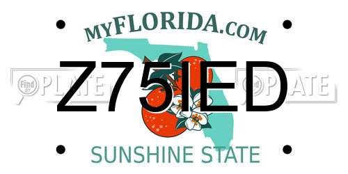 Z75IED Florida License Plate