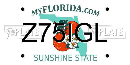 Z75IGL Florida License Plate
