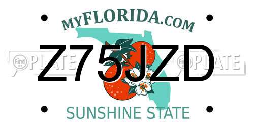 Z75JZD Florida License Plate