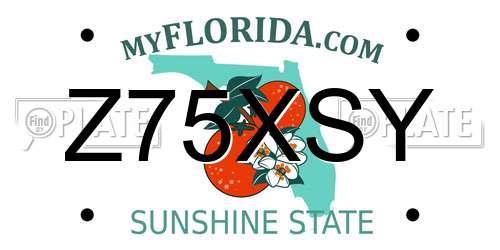 Z75XSY Florida License Plate