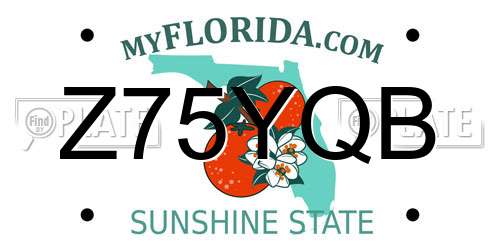 Z75YQB Florida License Plate