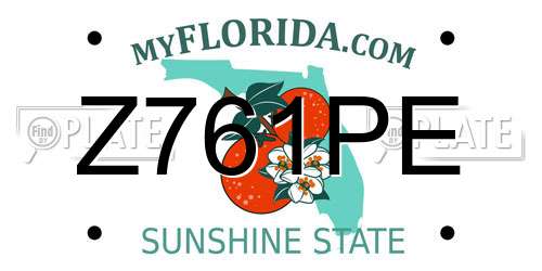 Z761PE Florida License Plate