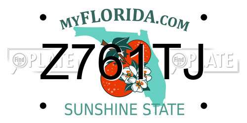 Z761TJ Florida License Plate