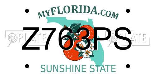Z763PS Florida License Plate
