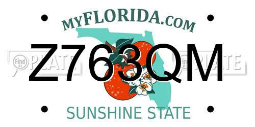 Z763QM Florida License Plate