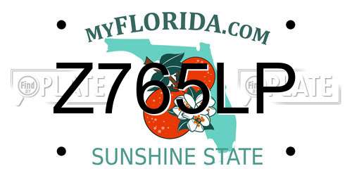 Z765LP Florida License Plate