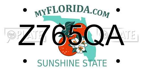 Z765QA Florida License Plate