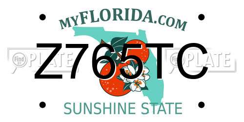 Z765TC Florida License Plate