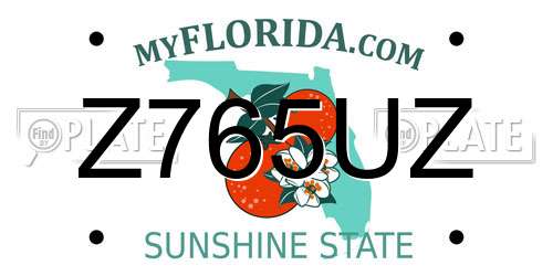 Z765UZ Florida License Plate