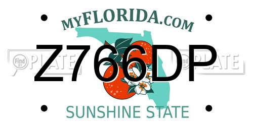 Z766DP Florida License Plate
