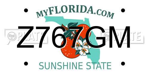 Z767GM Florida License Plate