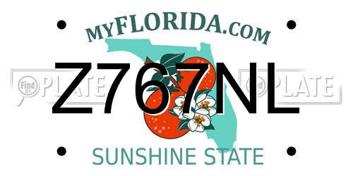 Z767NL Florida License Plate