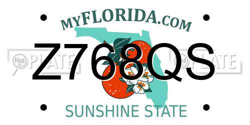 Z768QS Florida License Plate