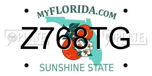 Z768TG Florida License Plate