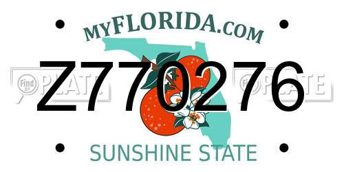 Z770276 Florida License Plate
