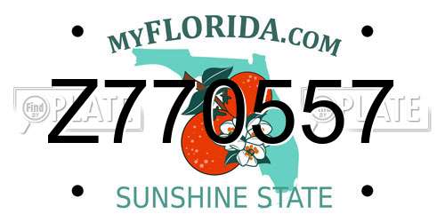 Z770557 Florida License Plate