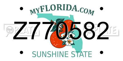 Z770582 Florida License Plate