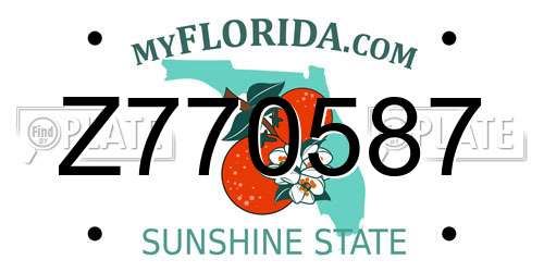 Z770587 Florida License Plate