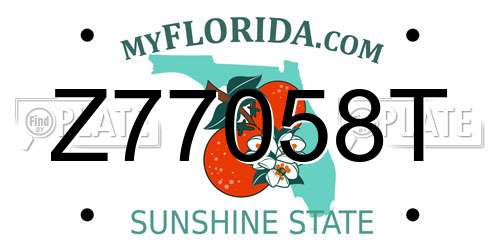 Z77058T Florida License Plate