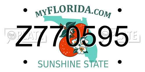 Z770595 Florida License Plate