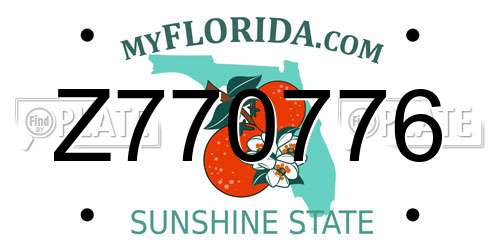 Z770776 Florida License Plate