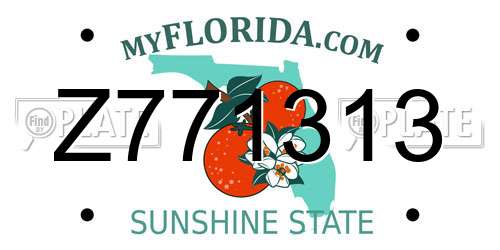Z771313 Florida License Plate