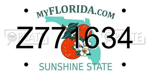 Z771634 Florida License Plate
