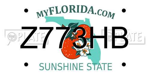 Z773HB Florida License Plate