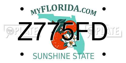 Z775FD Florida License Plate