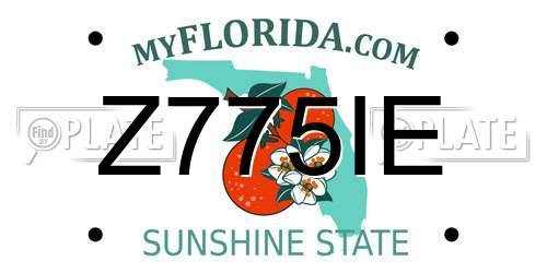 Z775IE Florida License Plate