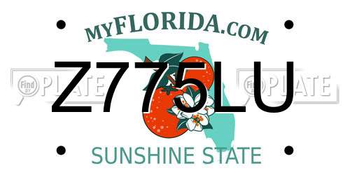 Z775LU Florida License Plate