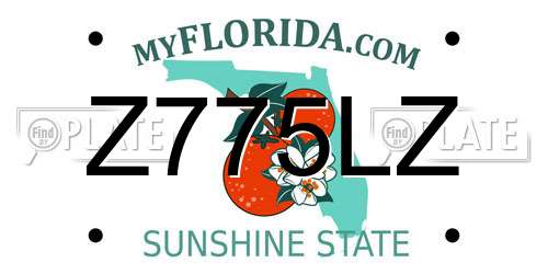 Z775LZ Florida License Plate