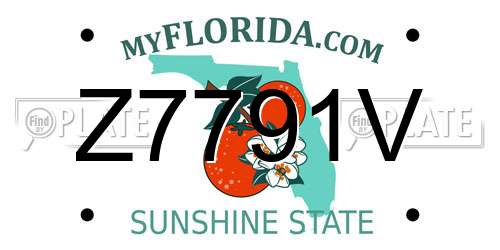 Z7791V Florida License Plate