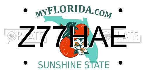 Z77HAE Florida License Plate