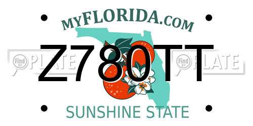 Z780TT Florida License Plate