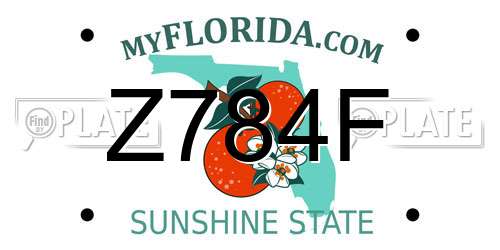 Z784F Florida License Plate