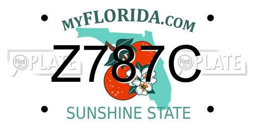 Z787C Florida License Plate