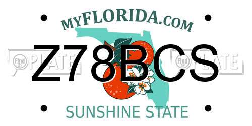 Z78BCS Florida License Plate