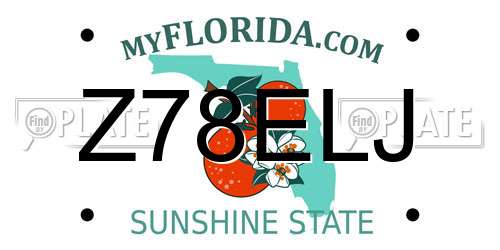 Z78ELJ Florida License Plate