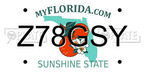 Z78GSY Florida License Plate